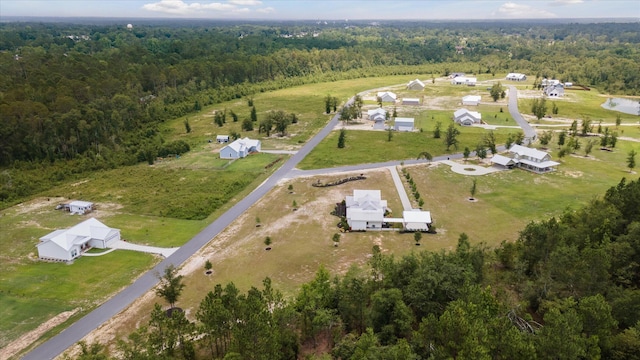 1513 Paris Ave, Swainsboro, GA 30401 - view of property location with a heavily wooded area