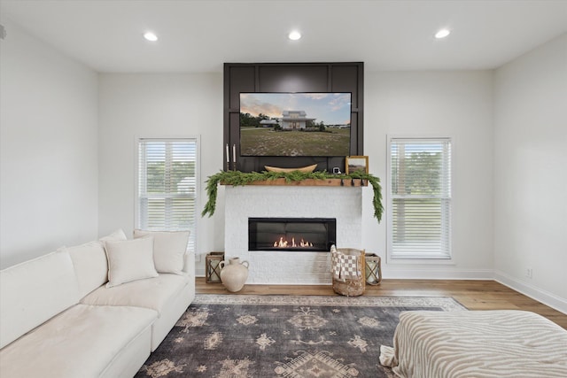 1513 Paris Ave, Swainsboro, GA 30401 - living area featuring plenty of natural light, a glass covered fireplace, wood finished floors, and recessed lighting