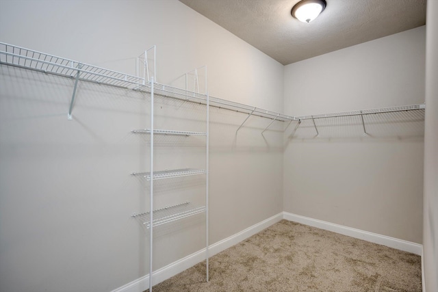 763 Viburnum Ct, New Ellenton, SC 29803 - photo 25