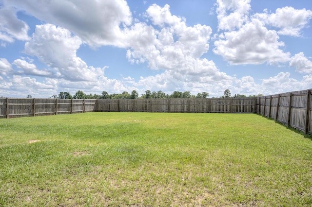 763 Viburnum Ct, New Ellenton, SC 29803 - photo 34