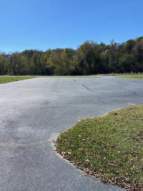 309 Rivers Run, Waynesboro, GA 30830 - photo 3
