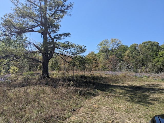 4781 Deans Bridge Rd, Blythe GA, 30805 land for sale