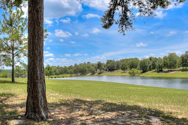 property view of water