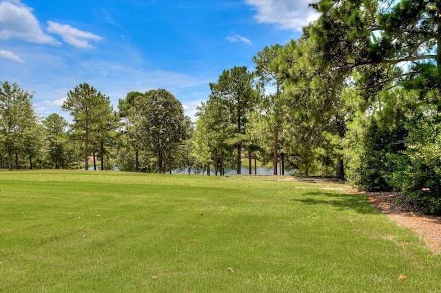 view of yard featuring a water view