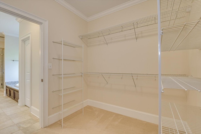 spacious closet featuring carpet flooring