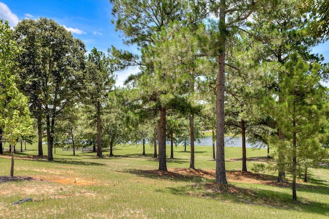 view of property's community with a yard and a water view