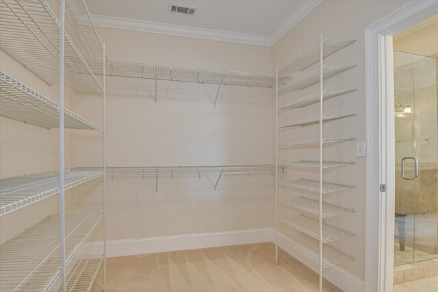 spacious closet with carpet flooring