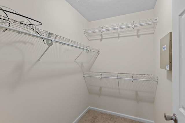 spacious closet with carpet