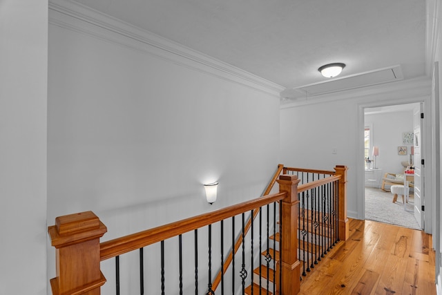 hallway featuring ornamental molding and light wood-type flooring