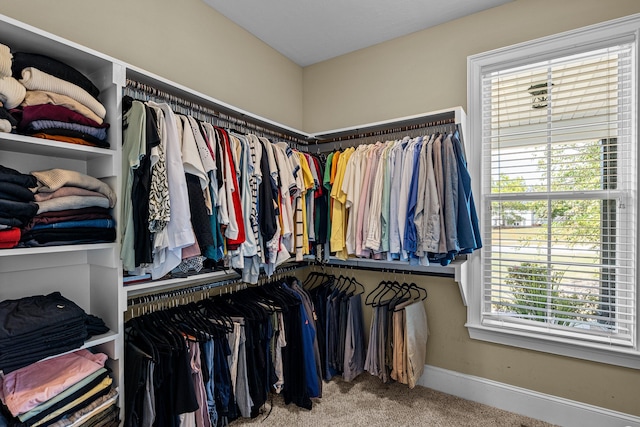 spacious closet featuring carpet floors