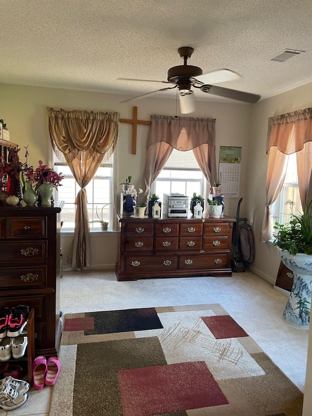 1036 Old Marks Dr, Augusta, GA 30909 - bedroom with multiple windows, a textured ceiling, light carpet, and a ceiling fan