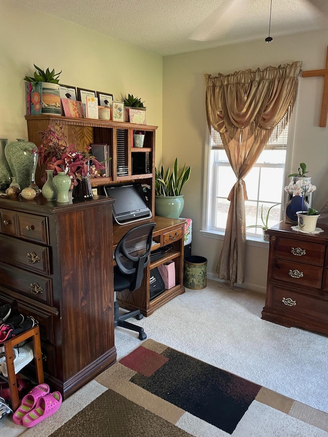 1036 Old Marks Dr, Augusta, GA 30909 - office space featuring carpet flooring and a textured ceiling