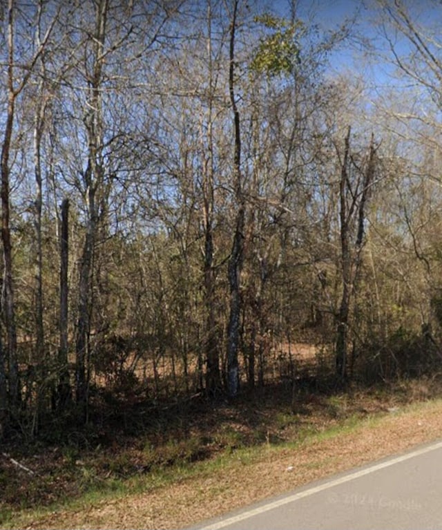 3191 Gene Howard Rd, Stapleton, GA 30823