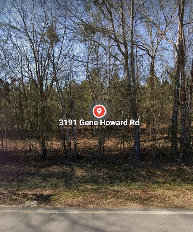 3191 Gene Howard Rd, Stapleton GA, 30823 land for sale