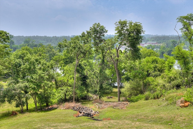view of yard with a forest view