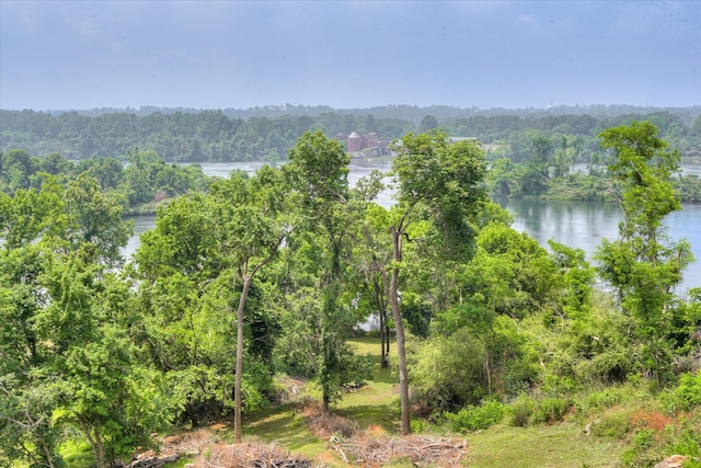 water view featuring a heavily wooded area