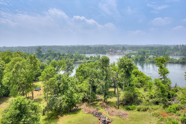 water view with a forest