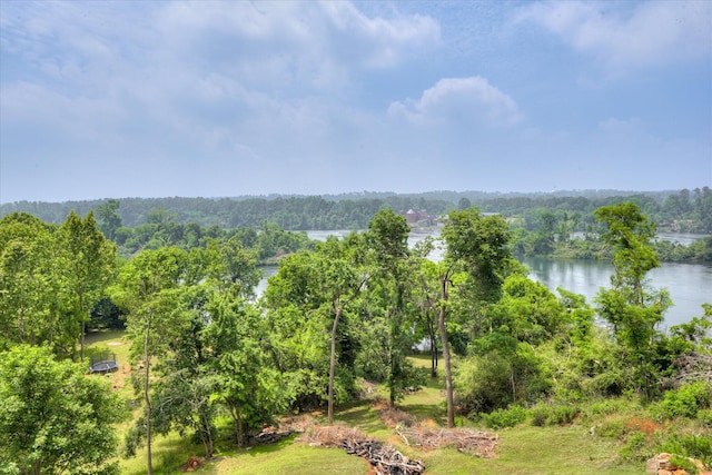 water view featuring a heavily wooded area