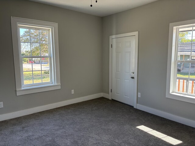 carpeted spare room with plenty of natural light