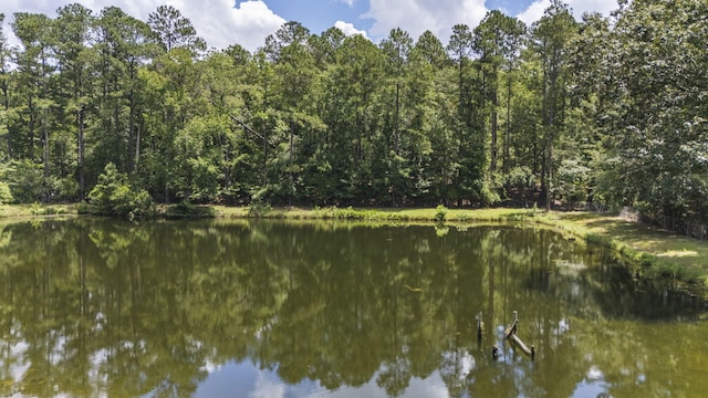 152 Pickett Ln, Aiken, SC 29803 - photo 5