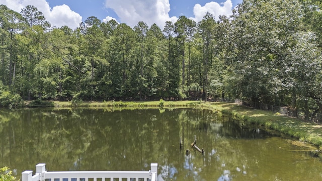 152 Pickett Ln, Aiken, SC 29803 - photo 56