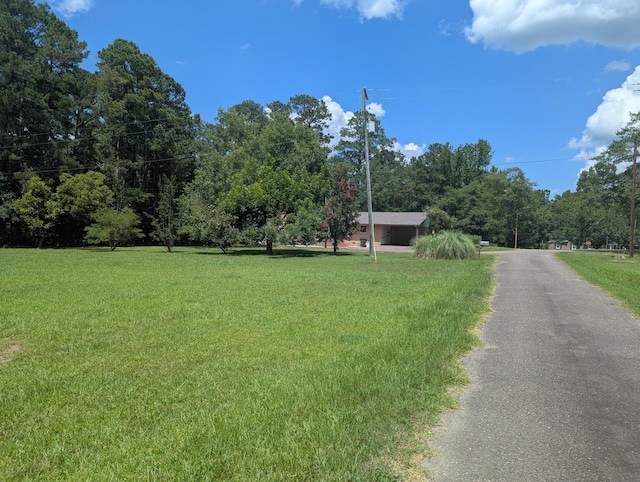 1037 Lakeview Dr, Johnston, SC 29832 - photo 5