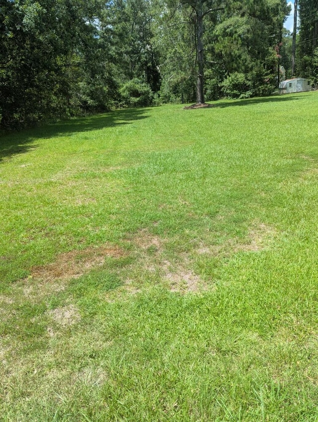 1037 Lakeview Dr, Johnston, SC 29832 - photo 6