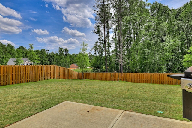 view of yard with a fenced backyard and a patio