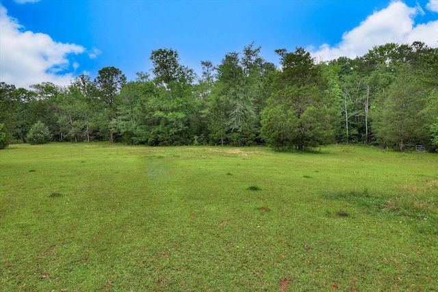 711 Augusta St, Mccormick, SC 29835 - view of green lawn with a view of trees