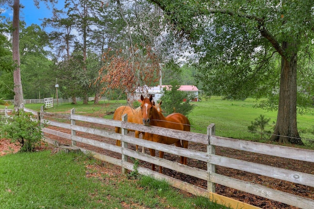 711 Augusta St, Mccormick, SC 29835 - view of yard with a rural view