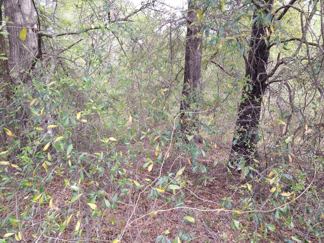 4654/4656 Mike Padgett Hwy, Augusta, GA 30906