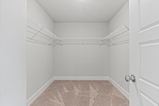 2318 Laurens St, Grovetown, GA 30813 - spacious closet with carpet flooring