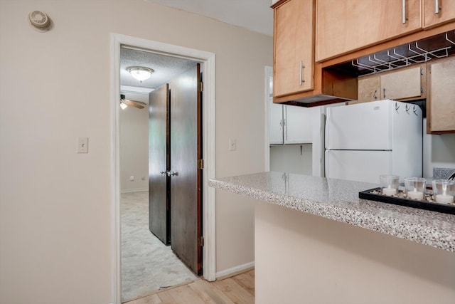 20 Teal Ct, North Augusta, SC 29841 - kitchen featuring freestanding refrigerator, light stone countertops, baseboards, a ceiling fan, and light wood finished floors