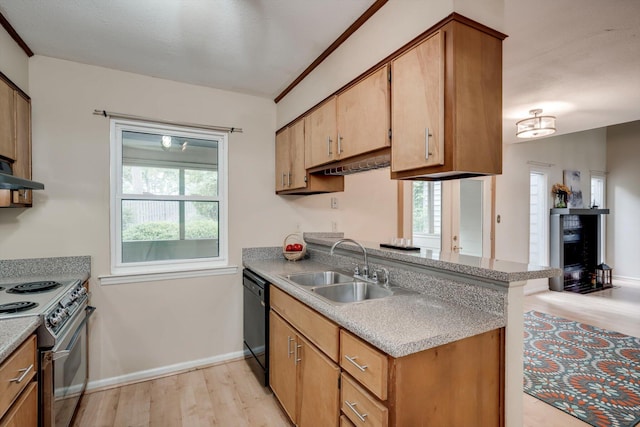 20 Teal Ct, North Augusta, SC 29841 - kitchen featuring a sink, dishwasher, range with electric cooktop, a peninsula, and light wood-type flooring