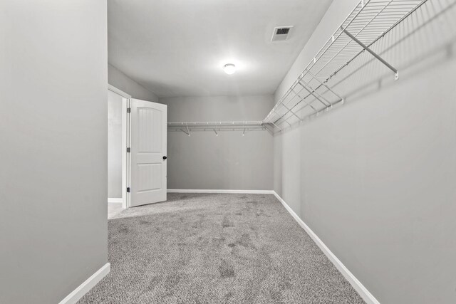 4938 Coal Creek Dr, Graniteville, SC 29829 - spacious closet with carpet floors