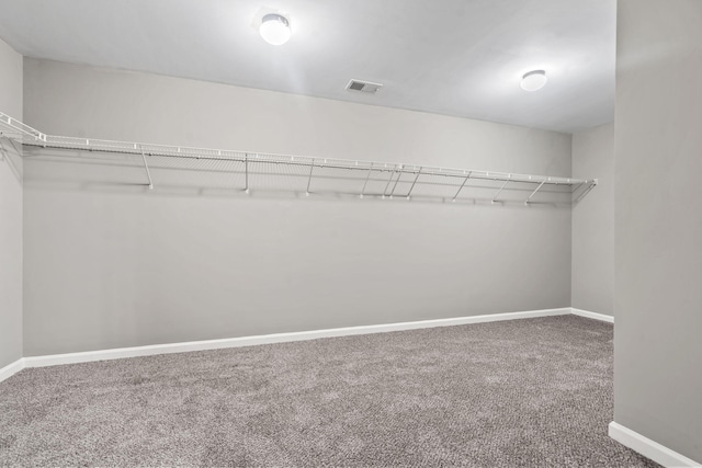 4938 Coal Creek Dr, Graniteville, SC 29829 - walk in closet featuring carpet