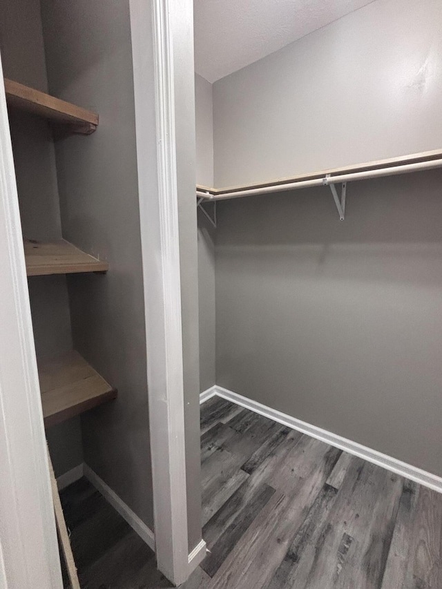 walk in closet with dark wood finished floors