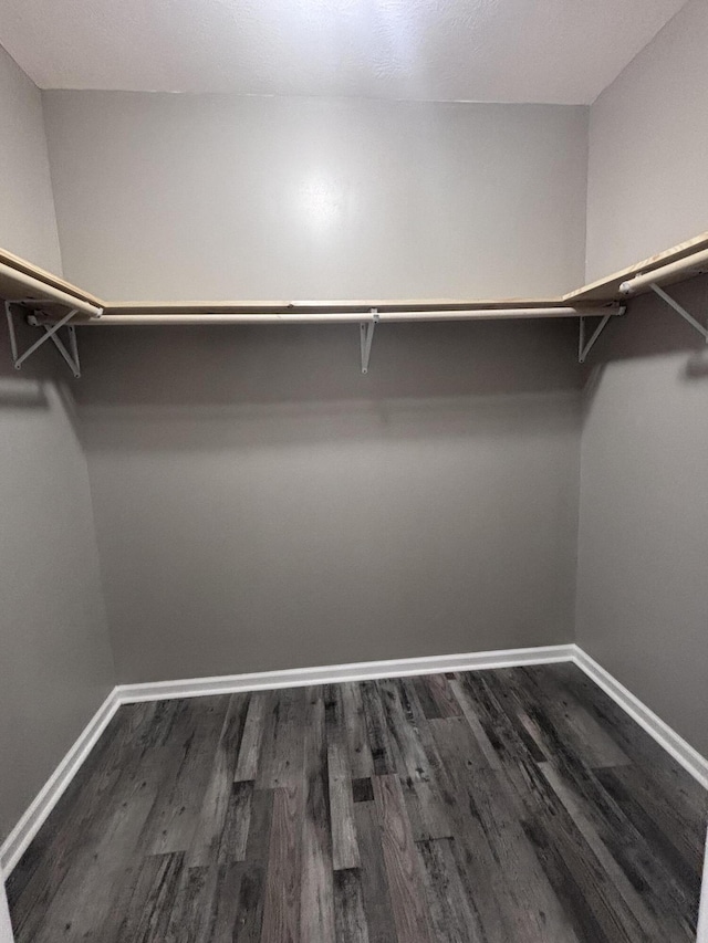 spacious closet with dark wood-style floors