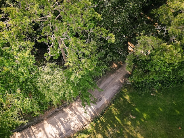 4855 Sharon Dr, Evans, GA 30809 - photo 4