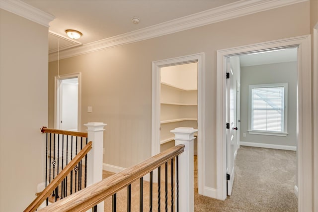 7304 Malton Ct, Evans, GA 30809 - photo 28