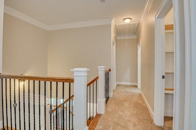 7304 Malton Ct, Evans, GA 30809 - photo 27