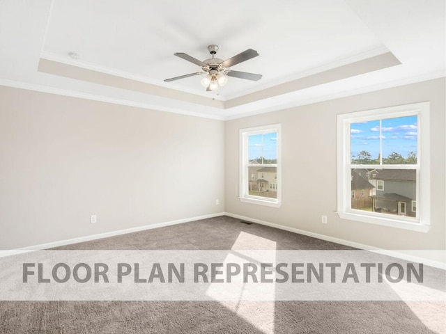 spare room with crown molding, a raised ceiling, and carpet flooring