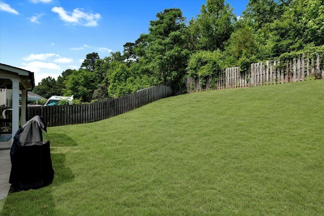945 Watermark Dr, Evans, GA 30809 - view of yard