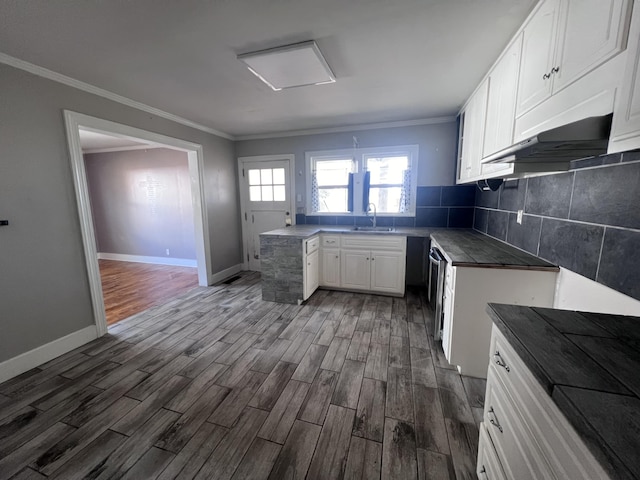 kitchen with backsplash, white cabinets, sink, ornamental molding, and dark hardwood / wood-style flooring