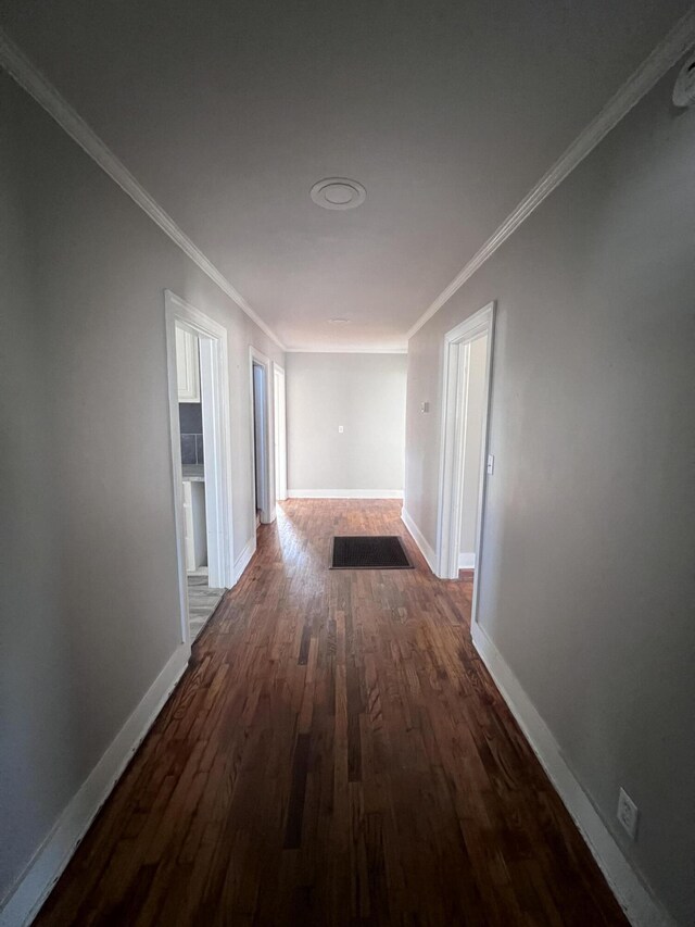 corridor featuring crown molding and dark wood-type flooring