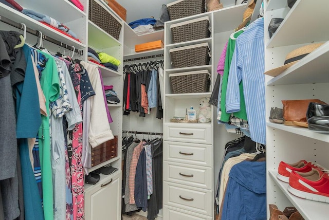 295 River Wind Dr, North Augusta, SC 29841 - view of walk in closet