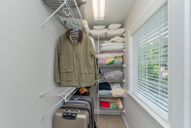 295 River Wind Dr, North Augusta, SC 29841 - spacious closet featuring carpet floors