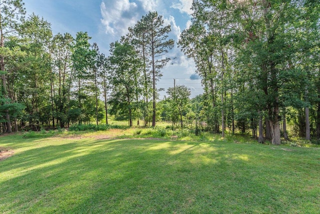295 River Wind Dr, North Augusta, SC 29841 - view of grassy yard