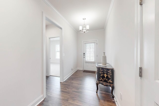 foyer with dark hardwood / wood-style flooring, crown molding, and an inviting chandelier