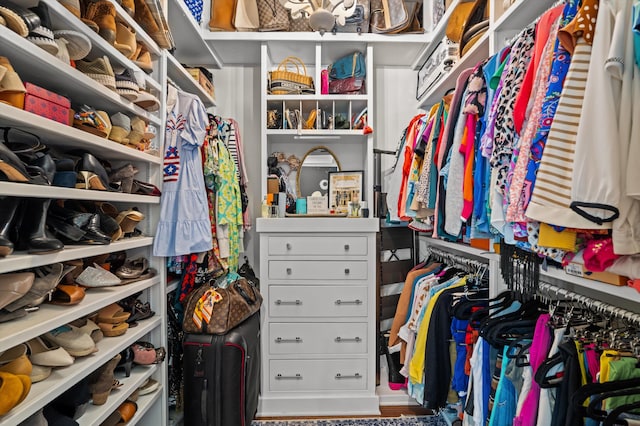 view of spacious closet
